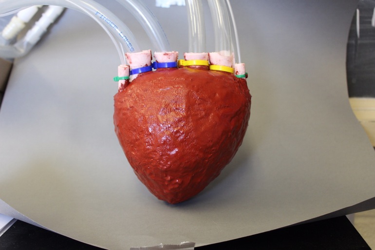 دانشمندان یک قلب مصنوعی از جنس فوم برای پمپاژ خون در بدن انسان ساختند