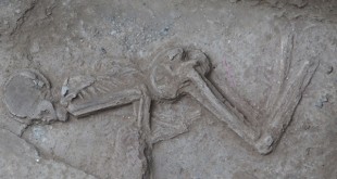 چاره اندیشی مسئولان میراث فرهنگی برای تعیین تکلیف اسکلت زن 7000ساله