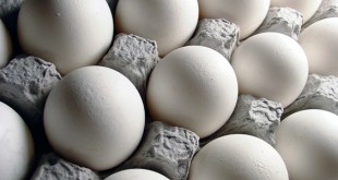 زیان ۶۵۱ میلیارد تومانی صنعت مرغ تخم‌گذار در سال ۹۴