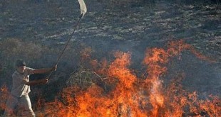 کاهش ۶۰ درصدی آتش‌سوزی در مناطق حفاظت شده