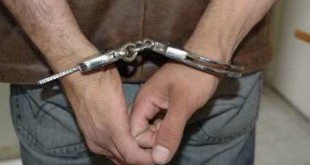 دزدان اجاره‌ای