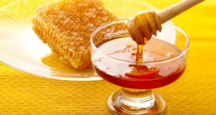 درآمد عسل چین چهار برابر نفت ایران