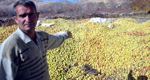 پرداخت بیش از 30 هزار میلیارد ریال غرامت به کشاورزان