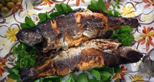 خروج ۴ استان از چرخه تولید ماهی قزل‌آلا