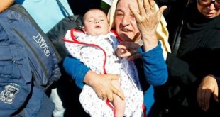 موافقت آلمان با شروط ترکیه برای همکاری در خصوص بحران آوارگان