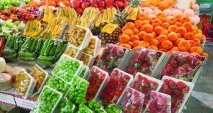 آمار صادرات محصولات کشاورزی نزولی شد