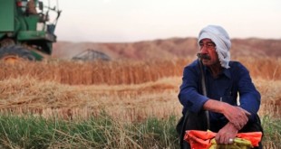 کشاورزان همچنان منتظر اعلام نرخ‌های خرید تضمینی محصولات