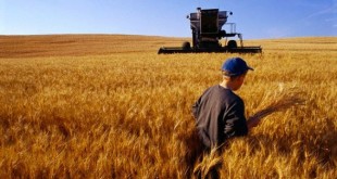 رشد 7 برابری استانداردسازی مکانیزاسیون کشاورزی