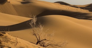 گزارش کویر‌خواری نداشتیم