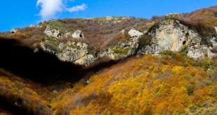 پاییز حیران