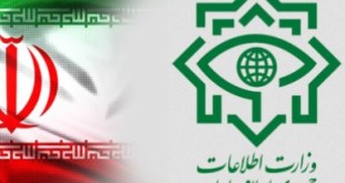 ۶۰ فریب‌خورده در سیستان‌و‌بلوچستان امان‌نامه گرفتند