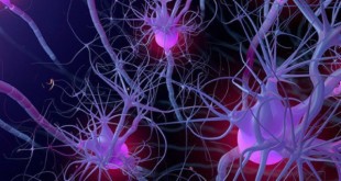 تکنیک اپتوژنتیک برای کنترل سیستم عصبی بومی‌سازی شد