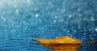 ثبت بیش از 20 میلی‌متر بارش در استان تهران