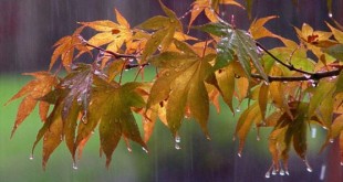 افزایش 63 درصدی میزان بارندگی