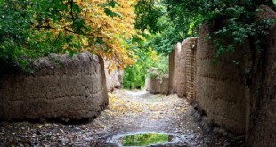 باغات بالای ۵ هزار متر مربع در تهران شناسنامه‌دار شدند