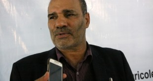 تکذیب معدوم سازی 7هزار تن میگو
