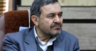 زراعت 270 هزار هکتاری چوب در کشور