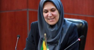 یک دهم درصد جنگل های ایران در یک دهه گذشته از بین رفت
