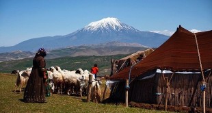 تشکیل سه صندوق خرد زنان عشایری در استان تهران