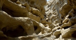 ساماندهی موزه ژئوپارک قشم