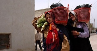 توزیع بیش از 480 هزار سبد کالا بین مادران باردار محروم