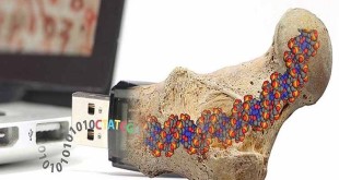 امکان ذخیره‌سازی ۴۵۵ اگزابایت اطلاعات درون یک گرم DNA