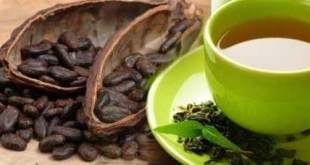 دیابتی ها کاکائو و چای سبز بخورند