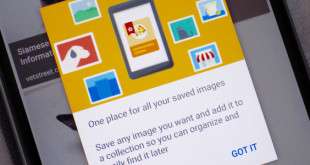 قابلیت جدید جستجوی موبایلی گوگل اجازه ذخیره و مرتب کردن تصاویر را می‌دهد