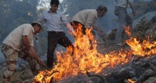 آتش سوزی جنگل واز در شهرستان نور مهار شد